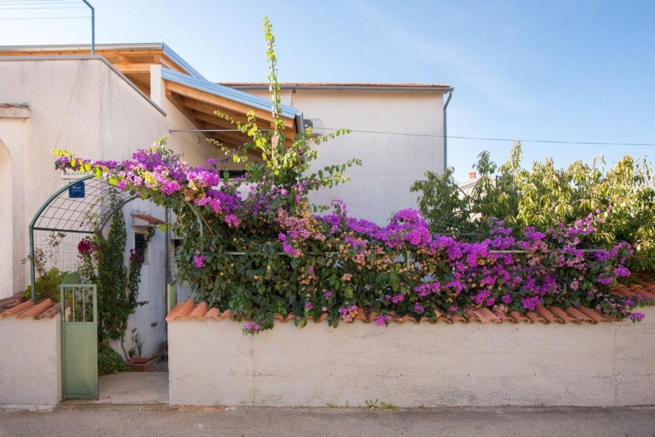 Apartments Anita Summer Водице Экстерьер фото